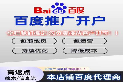 网络营销新篇章：竞价推广案例分析